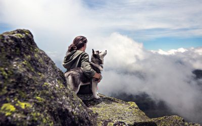 Tips for a Safe and Fun Hiking Adventure with your Dog